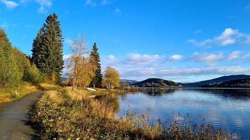 Picture of the author