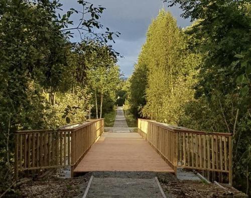 Picture of the author