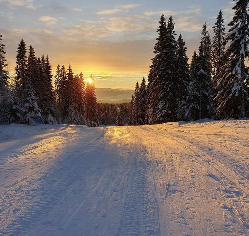 Picture of the author