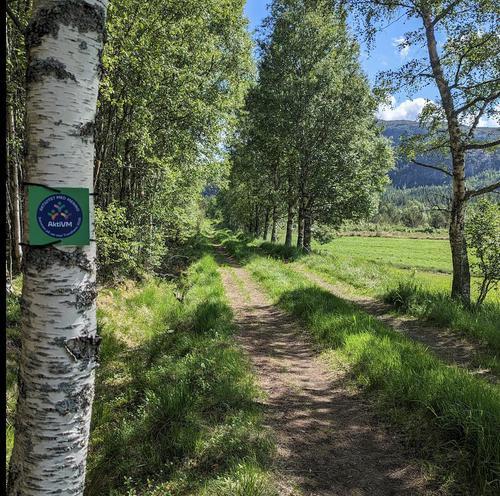 Picture of the author