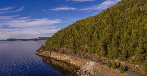 Picture of the author