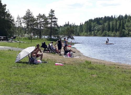 Picture of the author