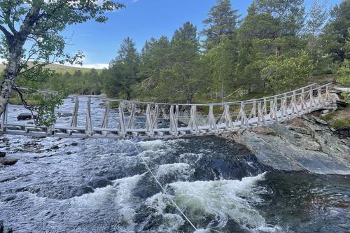 Picture of the author