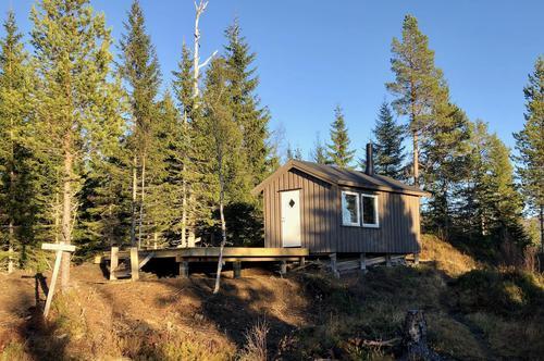 Picture of the author