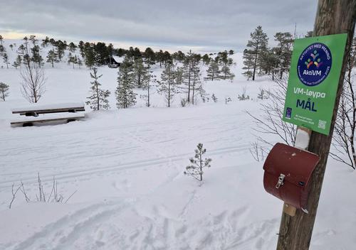 Picture of the author