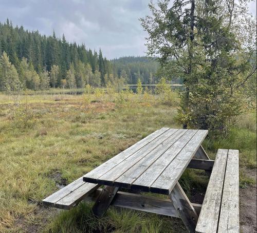 Picture of the author